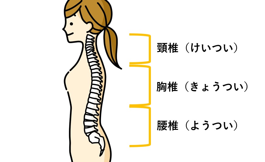 猫背とは?